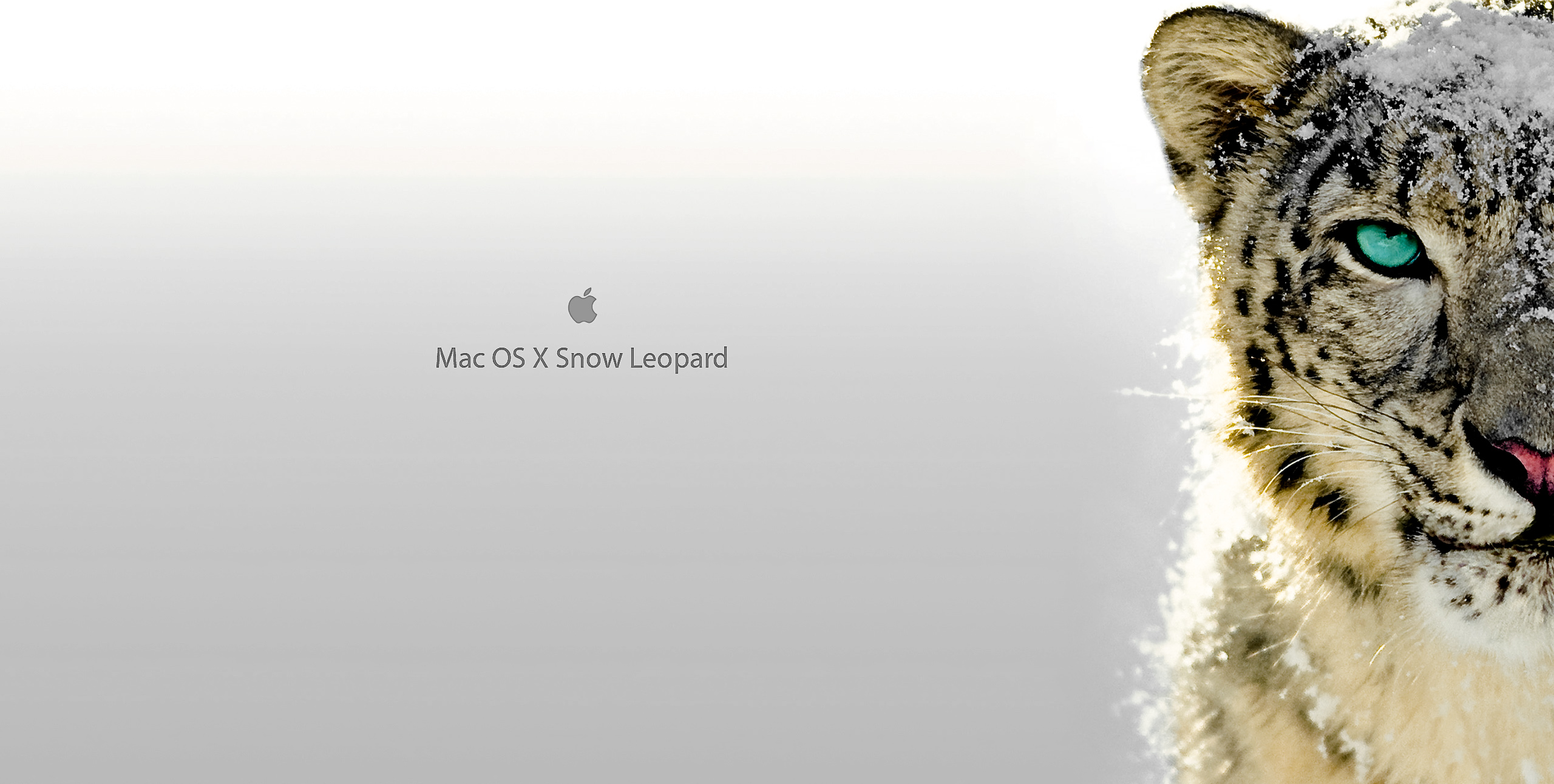 Epub Reader For Mac Snow Leopard